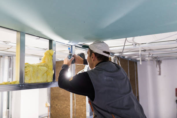 Reliable Port Isabel, TX Insulation Contractor Solutions