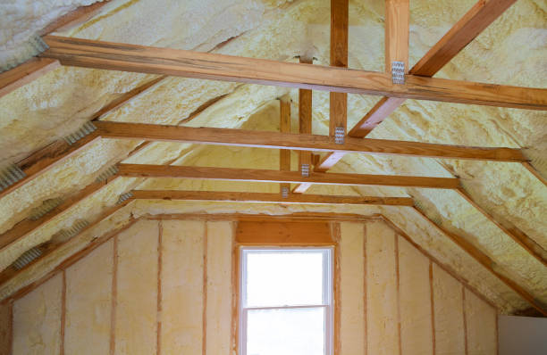 Best Insulation for New Construction  in Port Isabel, TX