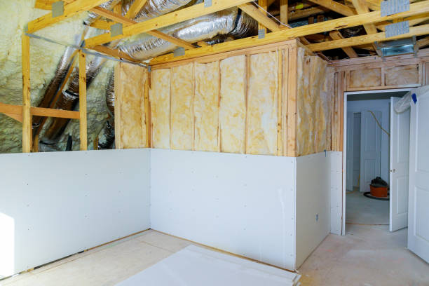 Best Commercial Insulation Contractor  in Port Isabel, TX