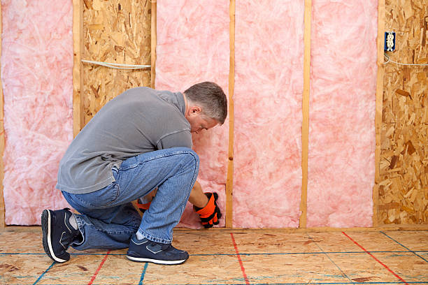 Best Spray Foam Insulation  in Port Isabel, TX