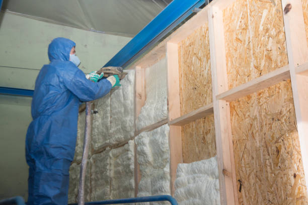 Best Attic Insulation Near Me  in Port Isabel, TX