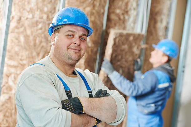 Best Best Insulation Companies  in Port Isabel, TX