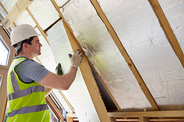 Best Affordable Insulation Services  in Port Isabel, TX