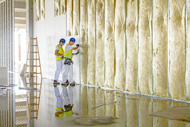 Best Residential Insulation Services  in Port Isabel, TX